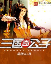 三国奇公子封面