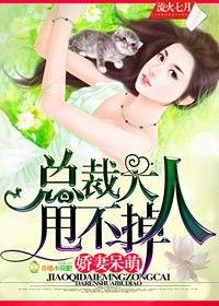 娇妻呆萌，总裁大人甩不掉封面