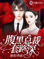腹黑总裁套路深封面