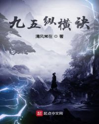九五纵横诀封面