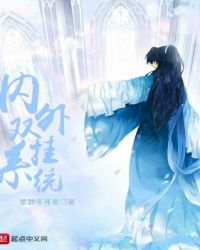 内外双挂系统封面