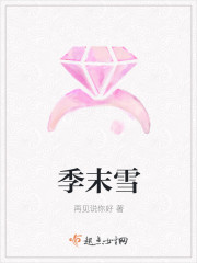 季末雪封面