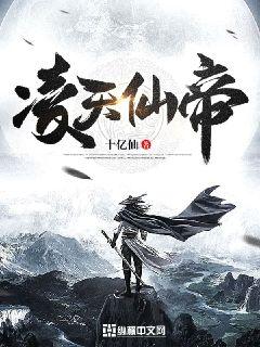 凌天仙帝封面