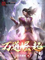 万道崛起封面