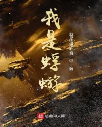 我是蜉蝣封面