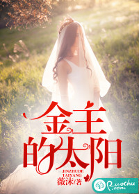 金主的太阳封面