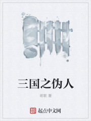 三国之伪人封面