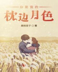 你是我的枕边月色封面