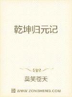 乾坤归元记封面
