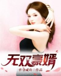 无双豪婿封面