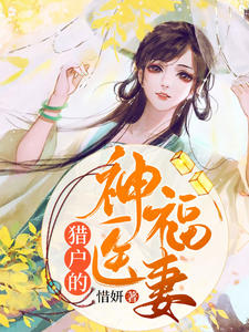 柳叶沈天厉封面