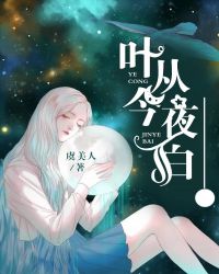 叶从今夜白封面