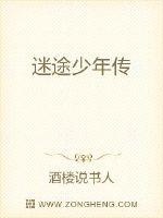 迷途少年传封面