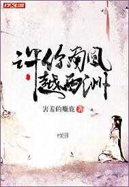 许你南风越西洲封面