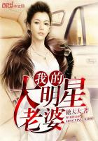 我的大明星老婆封面