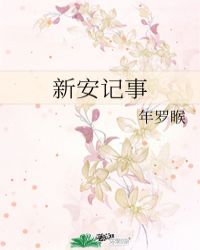 新安记事封面