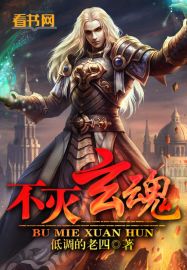 不灭玄魂封面
