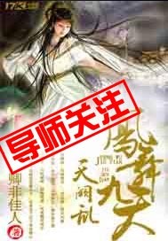 天阙乱，凤舞九天封面