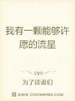 我有一颗能够许愿的流星封面