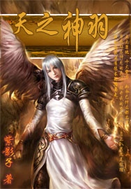 天之神羽封面