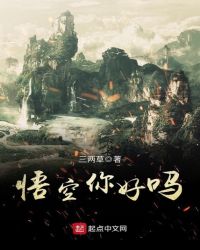 悟空你好吗封面