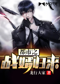 都市之战婿归来封面