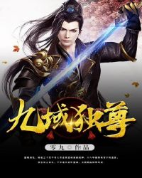 九域独尊封面