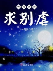大神老婆求别虐封面