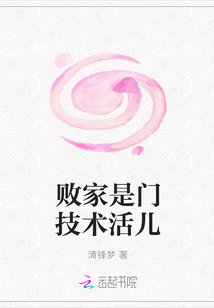 败家是门技术活儿封面