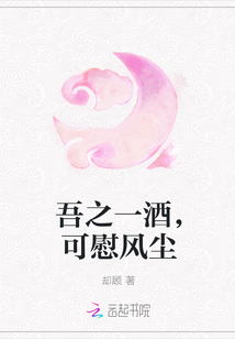 吾之一酒，可慰风尘封面