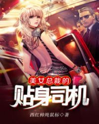 美女总裁的贴身司机封面