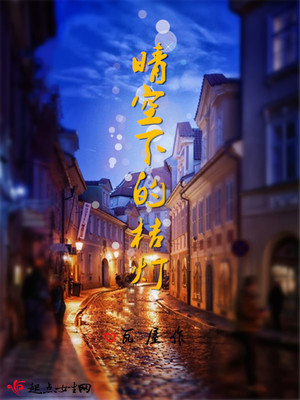 晴空下的桔灯封面