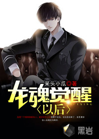 龙魂觉醒以后封面