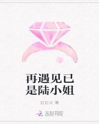 再遇见已是陆小姐封面
