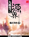 九极变之源界封面