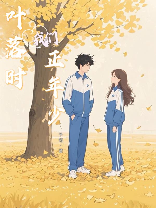 叶落时我们正年少封面