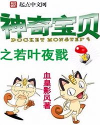 神奇宝贝之若叶夜戬封面