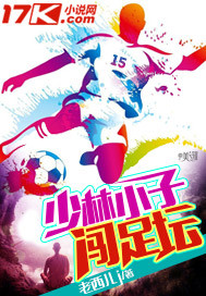 少林小子闯足坛封面