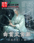 白首太玄经(精校版)封面