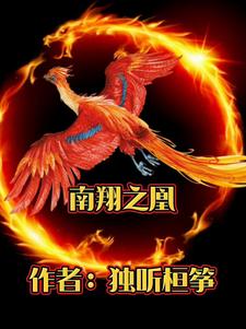 南翔之凰封面