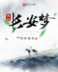 我的长安梦封面