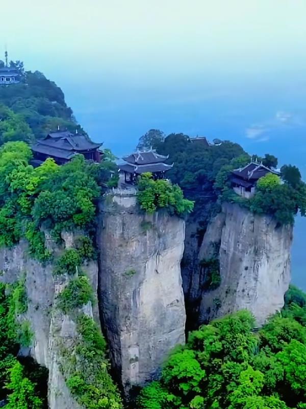 我说我的二零二五年封面