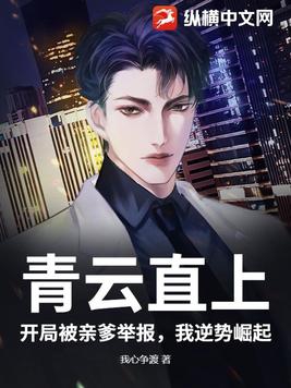 青云直上:开局被亲爹举报,我逆势崛起封面