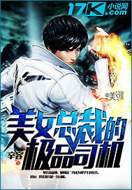 美女总裁的极品司机封面