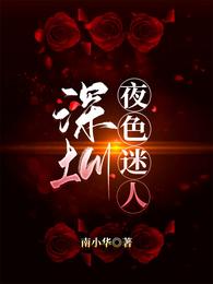 深圳，夜色迷人封面