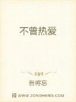不曾热爱封面