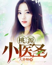 桃源小医圣封面