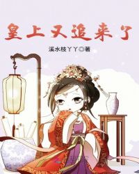 皇上又追来了封面