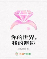 你的世界，我的邂逅封面