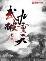 武破九重天封面